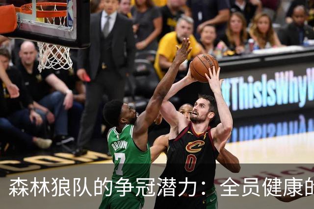森林狼队的争冠潜力：全员健康的关键性分析